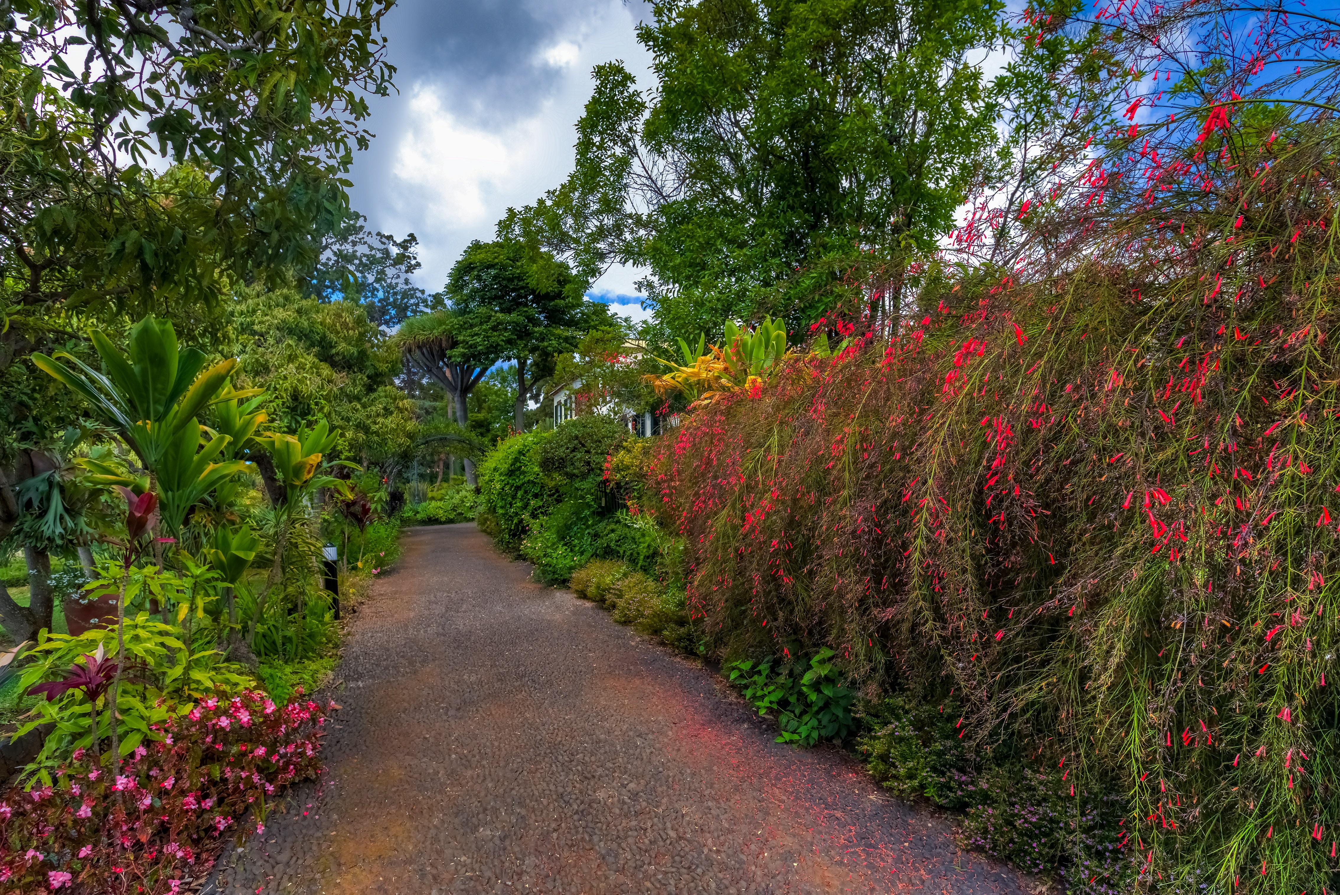 Quinta Jardins Do Lago Funchal  Exteriör bild The main path through the gardens