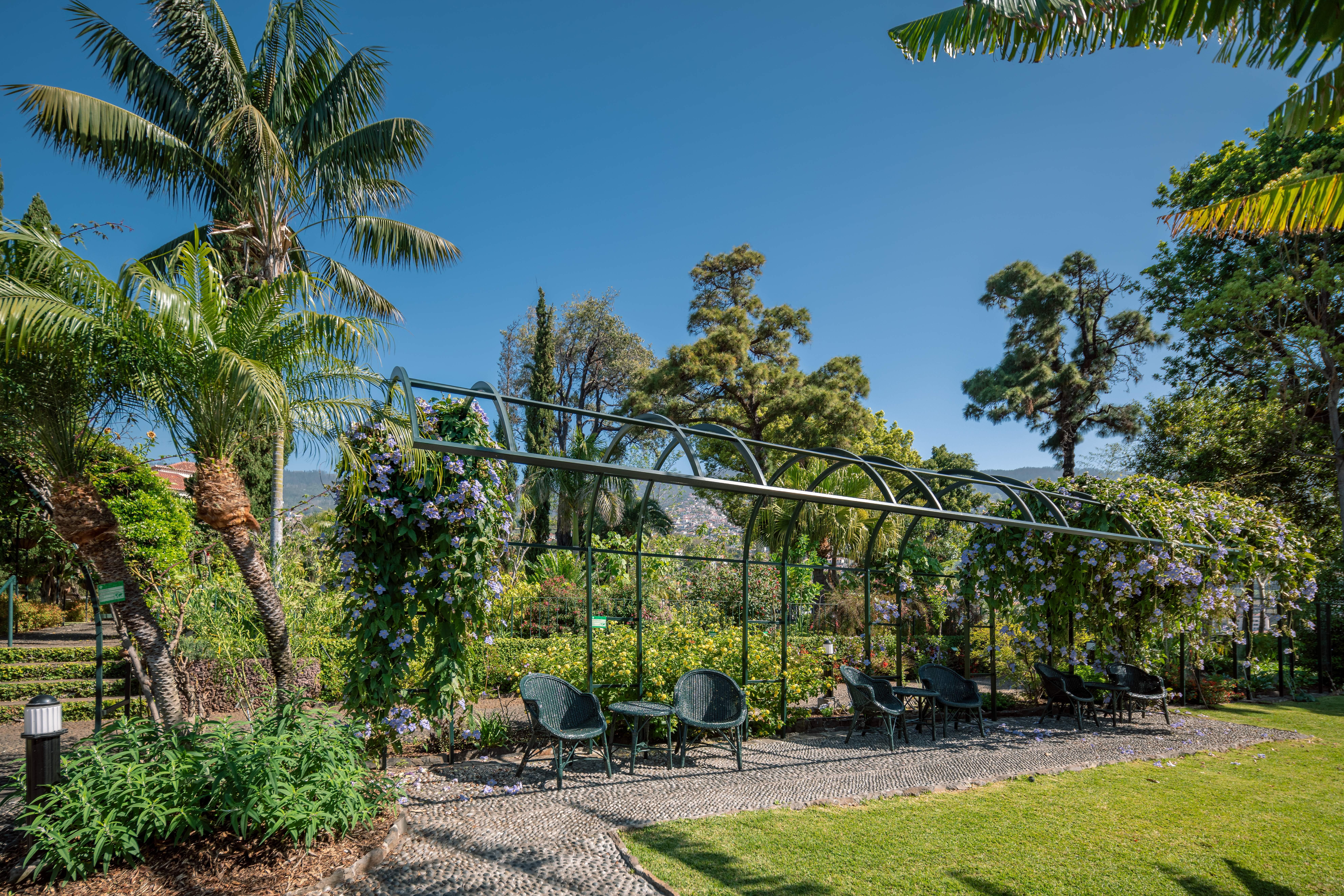 Quinta Jardins Do Lago Funchal  Exteriör bild The Wisteria Arbor