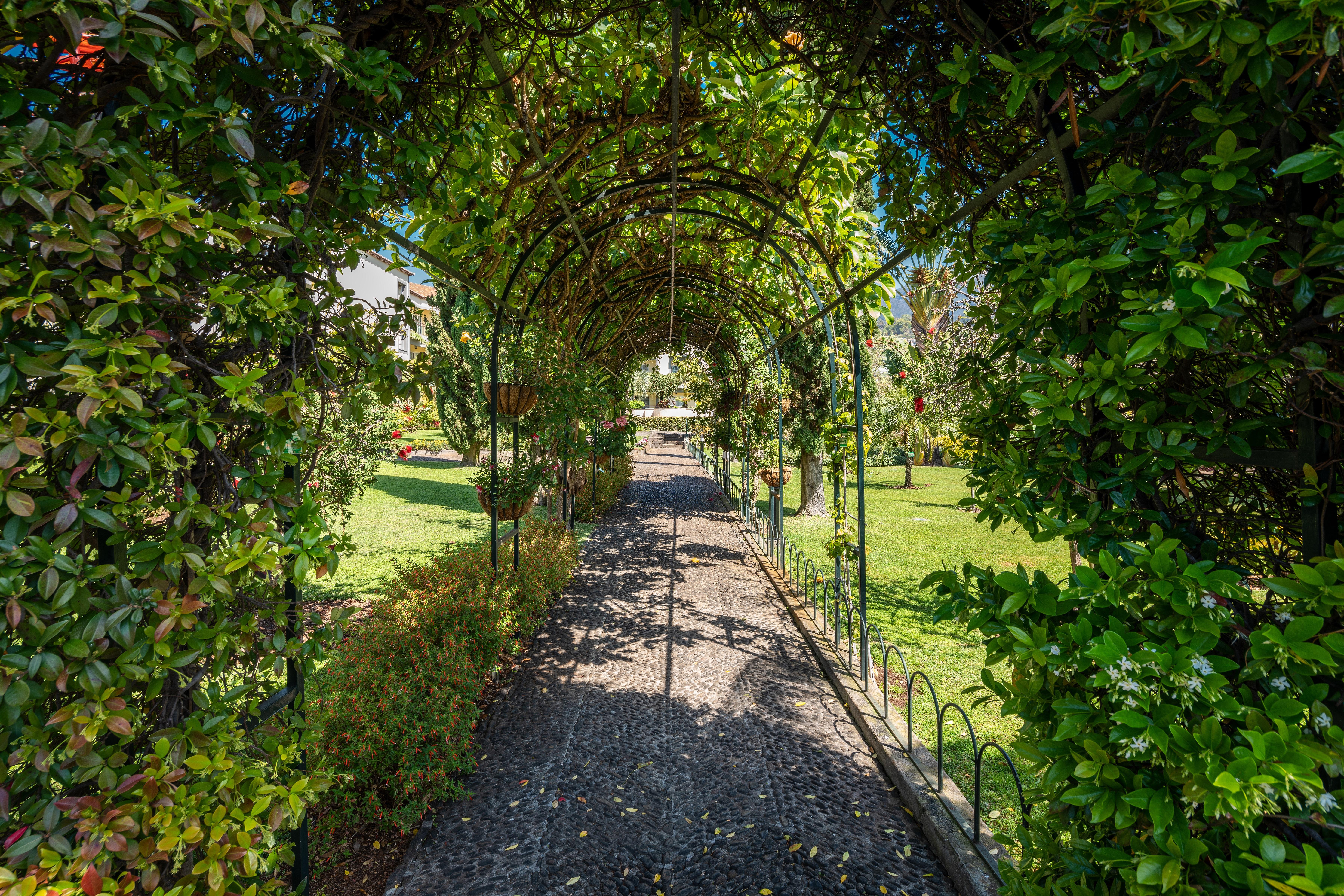 Quinta Jardins Do Lago Funchal  Exteriör bild The Pergola