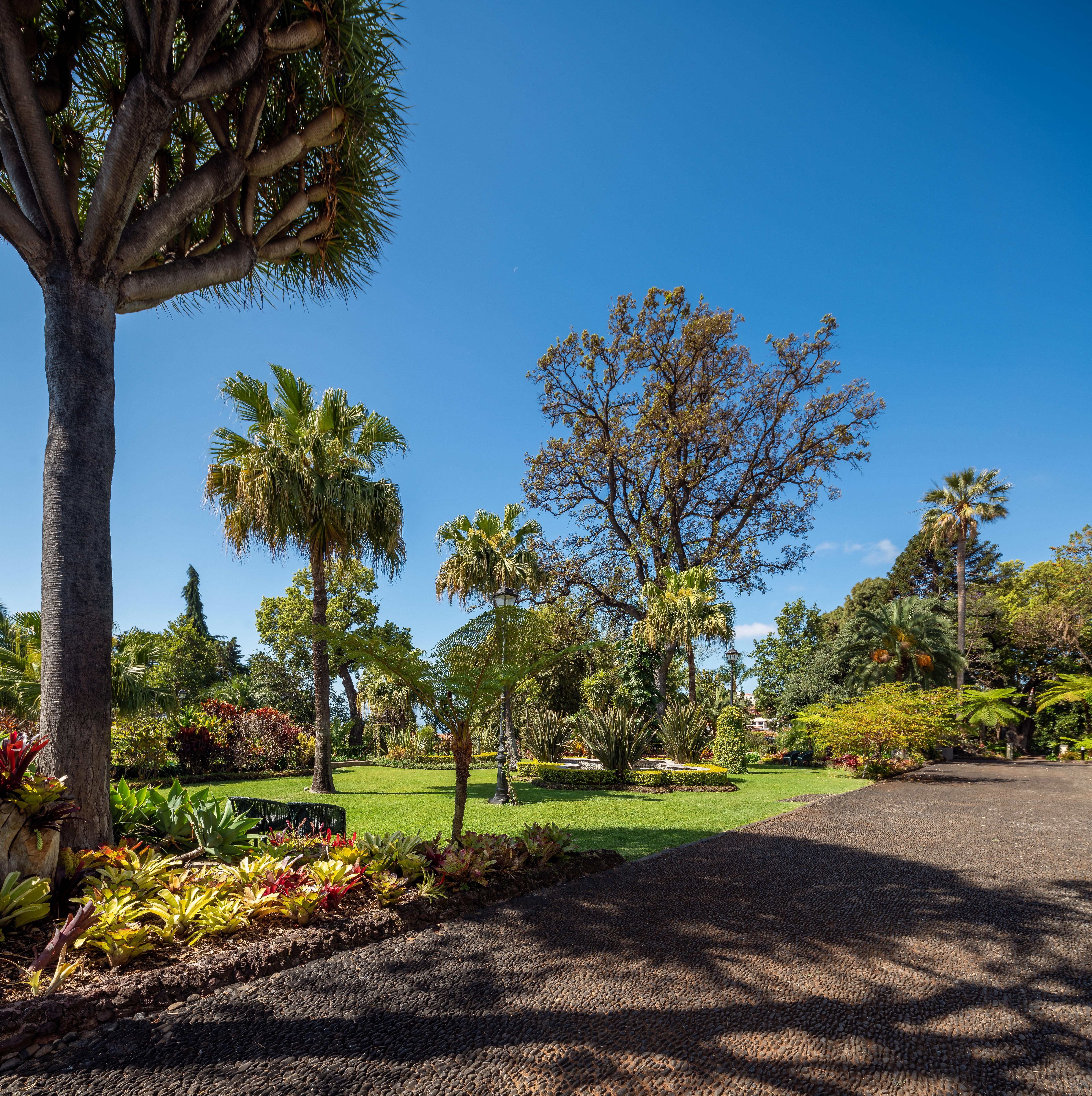 Quinta Jardins Do Lago Funchal  Exteriör bild Wellington Botanic Gardens